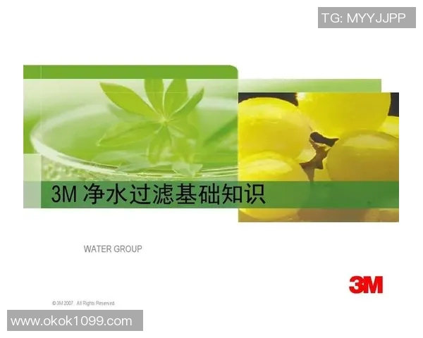 基于净水材料的创新应用与发展前景分析