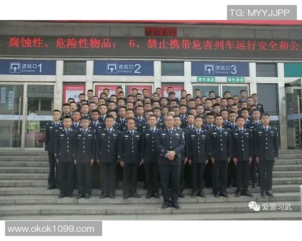南京排球队的阵地战解析：深度剖析战术与团队协作的成功之道